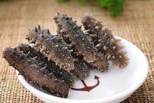 海参有几种类型？海参都有什么种类？