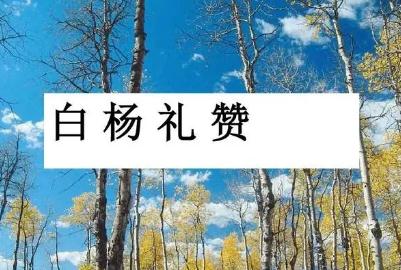 白杨礼赞是几年级的课文(茅盾-白杨礼赞原文)