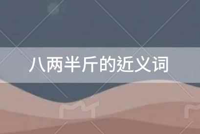 八两半斤的近义词，八两半斤的近义词是什么