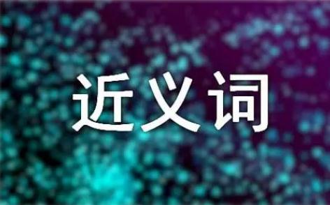 映射的近义词