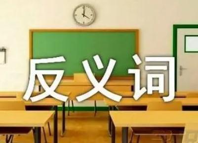 关心的反义词 关心的反义词有哪些 关心的反义词是什么