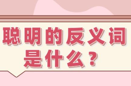 聪明的反义词有哪些  聪明的反义词是什么