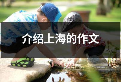 上海城市介绍300字作文 介绍上海的作文300字