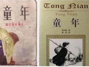 童年的内容简介30字左右 高尔基