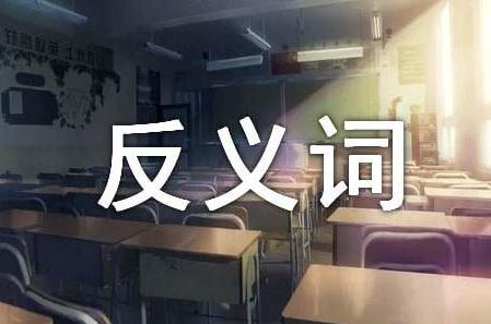 淳朴的近义词是什么？淳朴的近义词有哪些