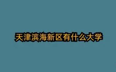天津滨海新区有哪几所大学