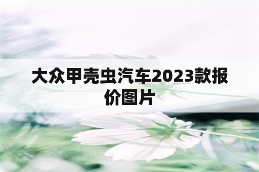 大众甲壳虫汽车2023款报价图片（大众甲壳虫怎么样）
