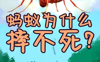 蚂蚁从高处掉下来为什么摔不死（为什么蚂蚁摔不死）