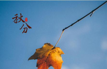经典秋分节气唯美句子