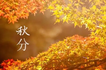 关于秋分节气的文案短句