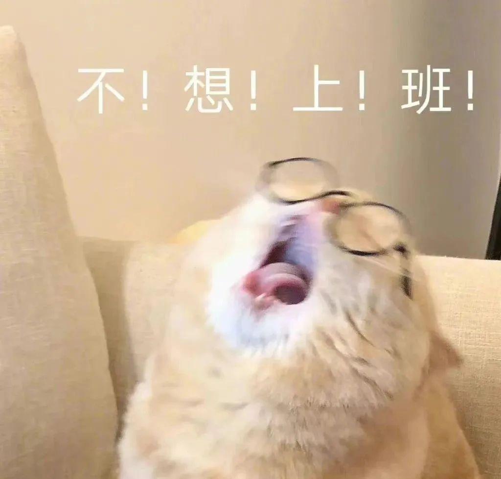 小额无抵押贷款(急需用钱解决燃眉之急)