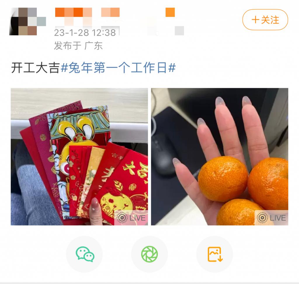 中华人民共和国行政监察法(全文解读)