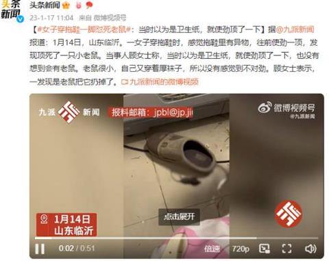 纪工委工作总结和工作计划(实用10篇)
